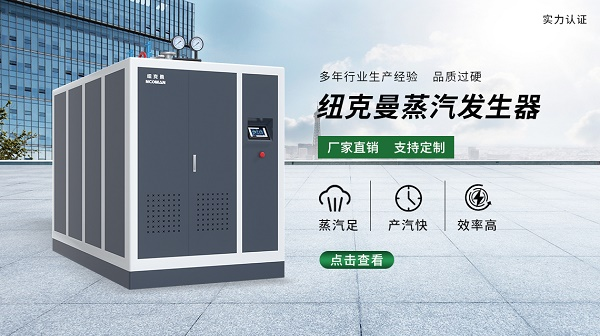 蒸汽發生器 蒸汽發生器