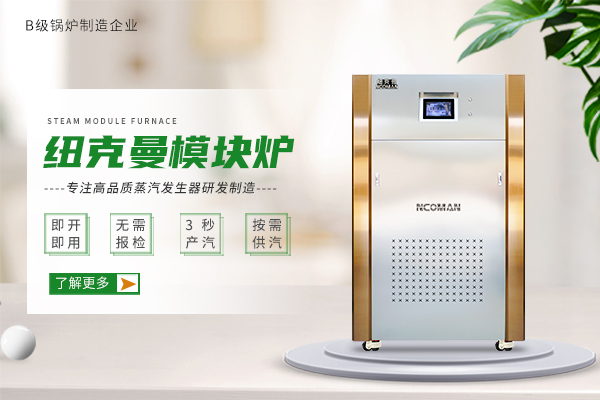 蒸汽模塊爐 蒸汽模塊爐