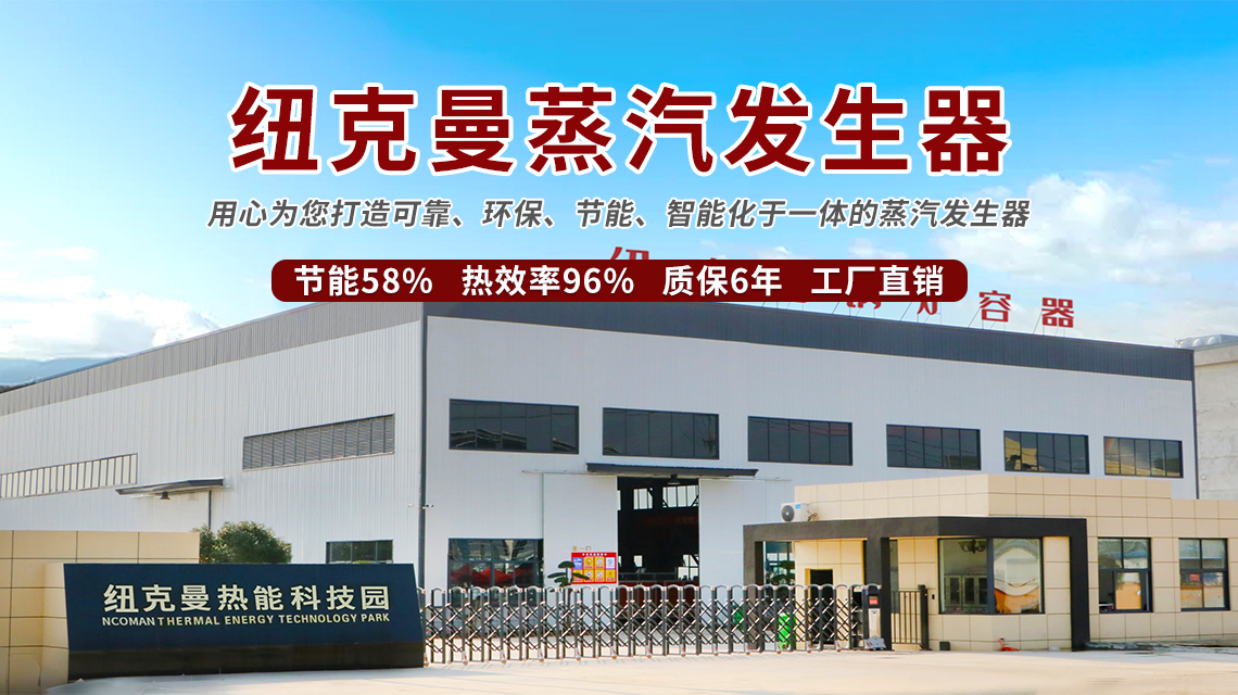 蒸汽發(fā)生器廠家 蒸汽發(fā)生器廠家