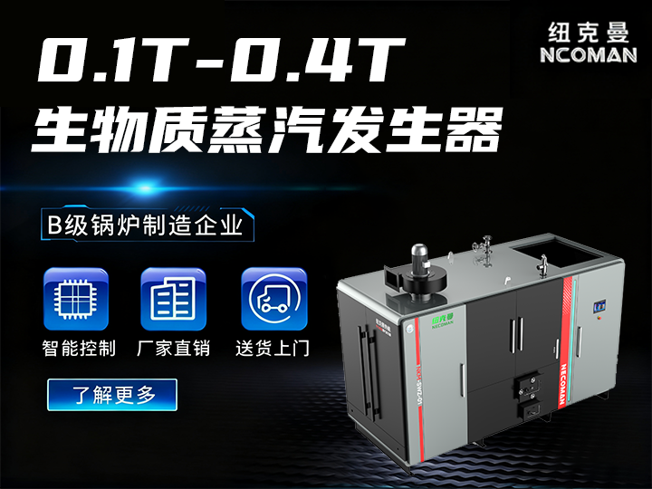 100kg-400kg 生物質蒸汽發生器