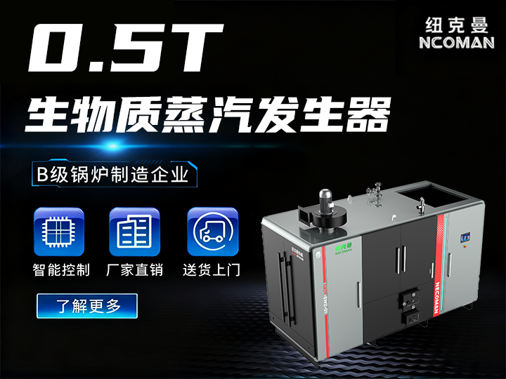 500kg 生物質蒸汽發生器