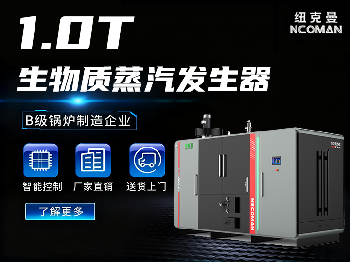 1噸 生物質(zhì)蒸汽發(fā)生器