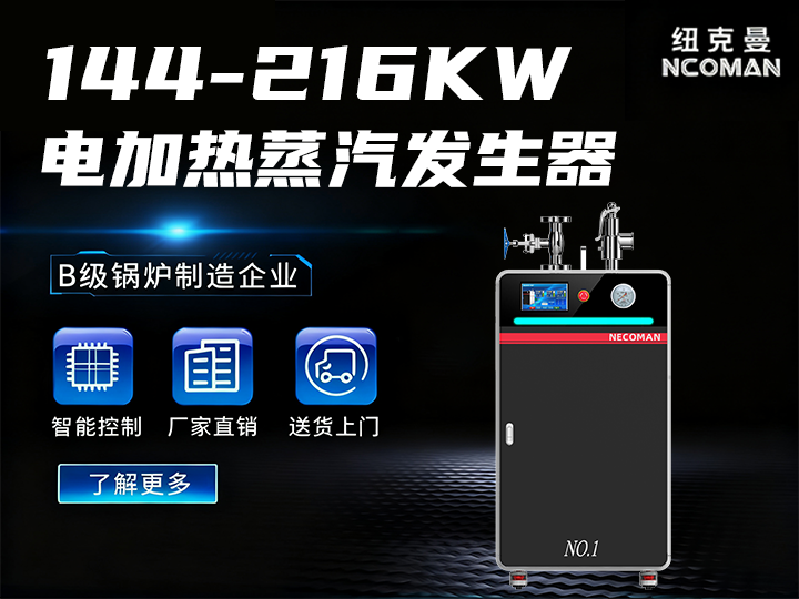 200kg-300kg 電蒸汽發生器