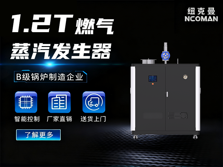 1.2噸 燃氣燃油蒸汽發生器