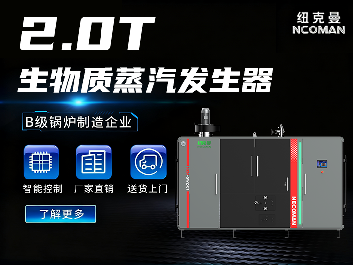 2噸 生物質蒸汽發生器