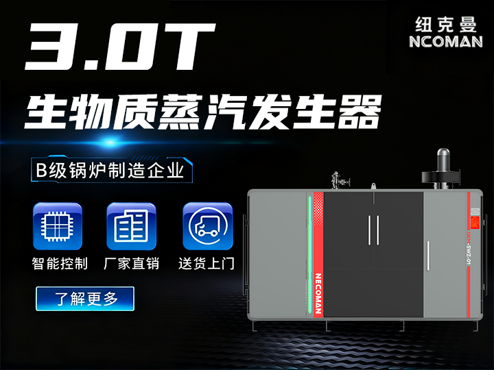 3噸 生物質蒸汽發生器